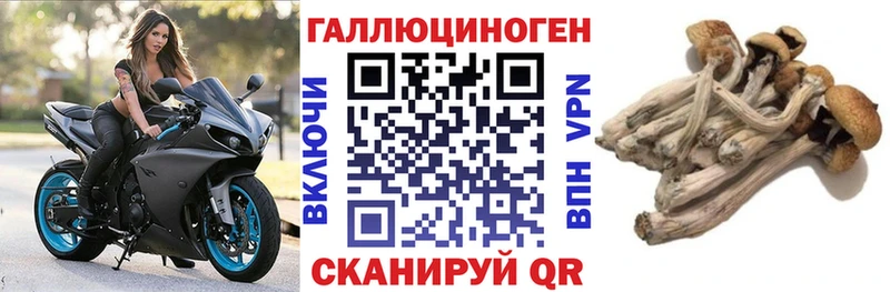 гидра tor  Каменск-Уральский  Псилоцибиновые грибы мухоморы 