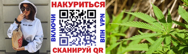 даркнет как зайти  Каменск-Уральский  Марихуана сатива 